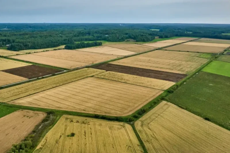 farm land